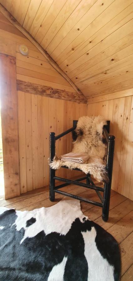 Sosdala Vittfarnas Hird Vikingaby Bed & Breakfast エクステリア 写真
